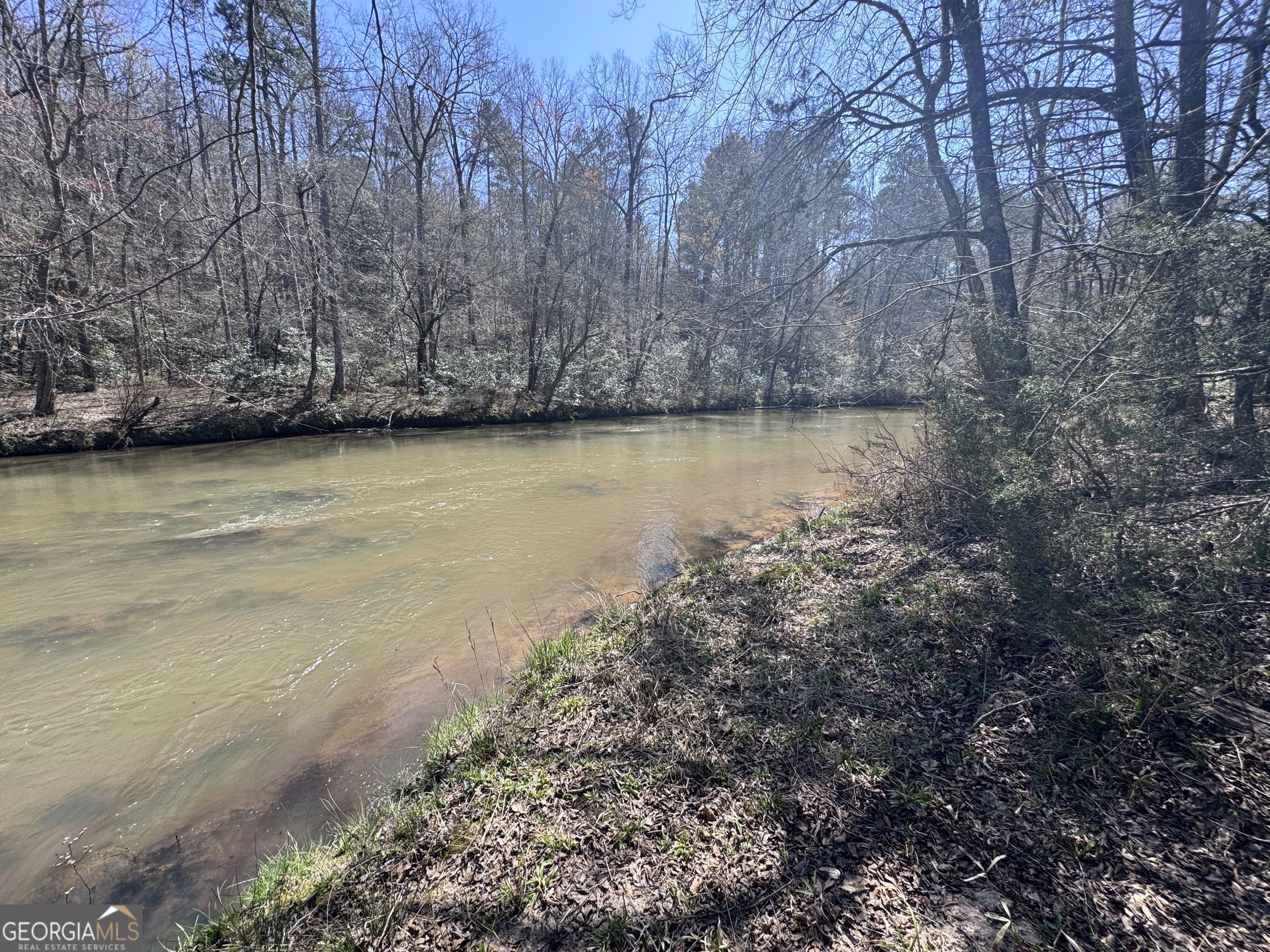 0 River Ridge Drive Carnesville, GA 30521 - Photo 15 of 25