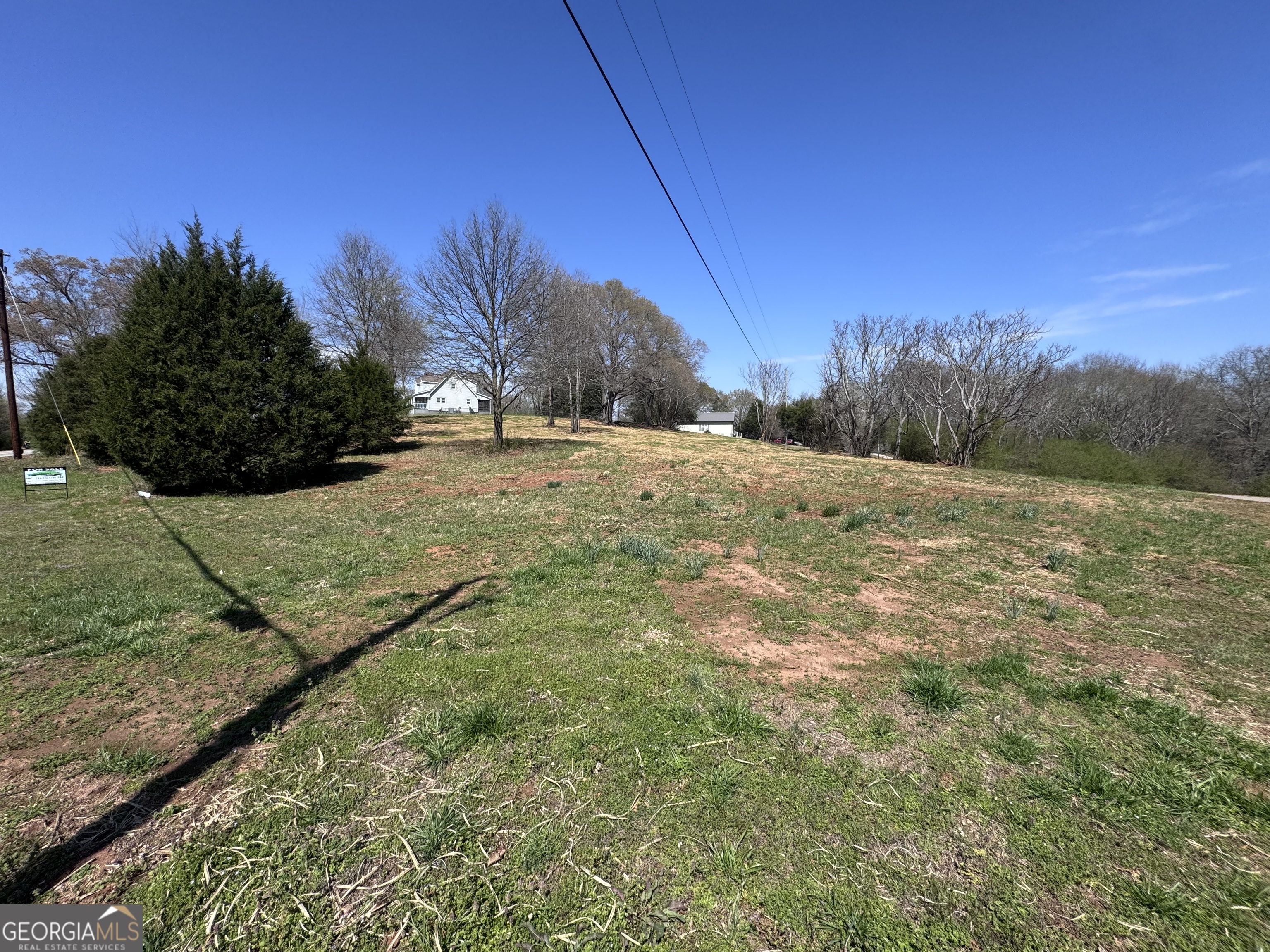 0 River Ridge Drive Carnesville, GA 30521 - Photo 16 of 25