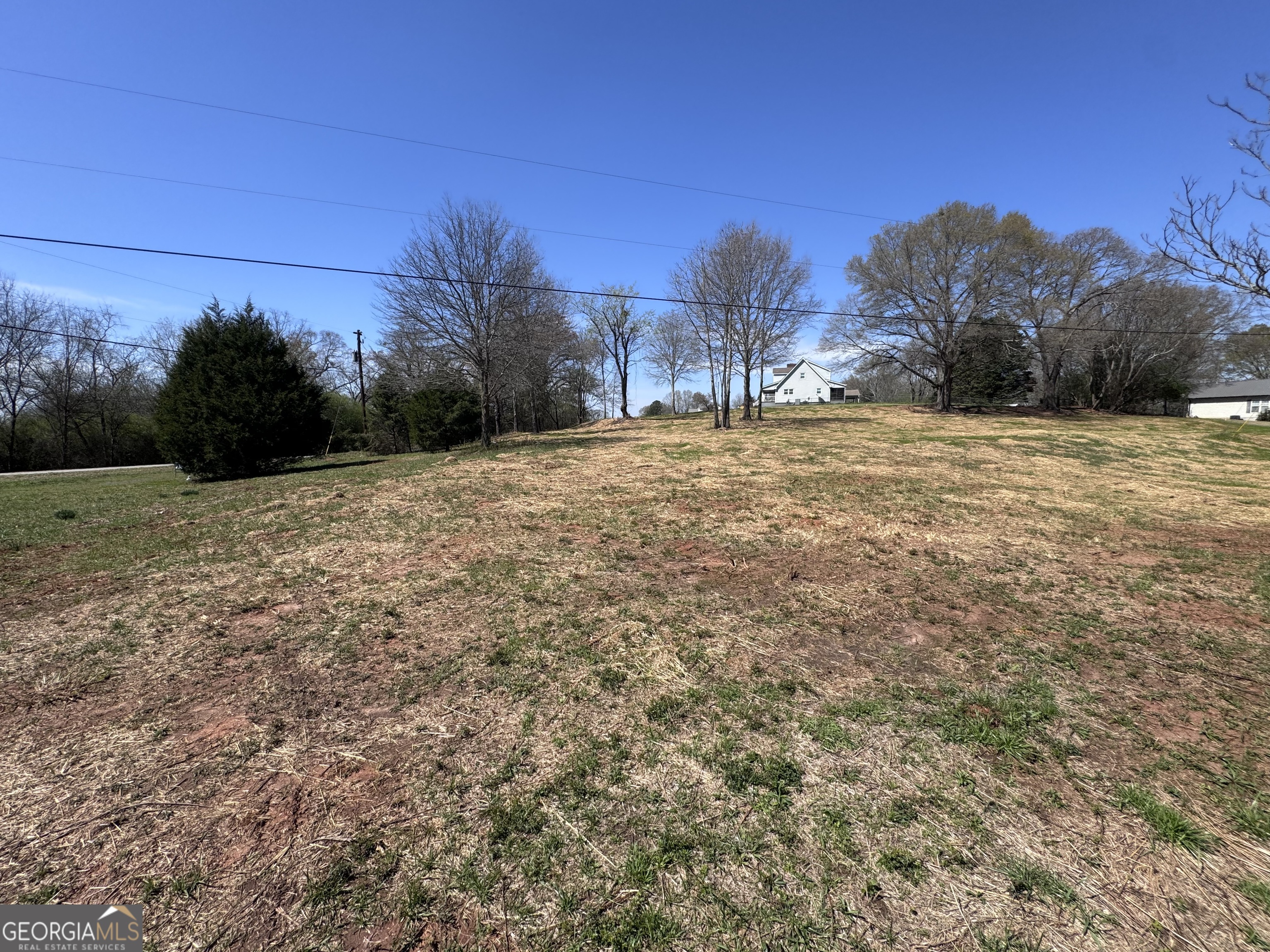 0 River Ridge Drive Carnesville, GA 30521 - Photo 17 of 25