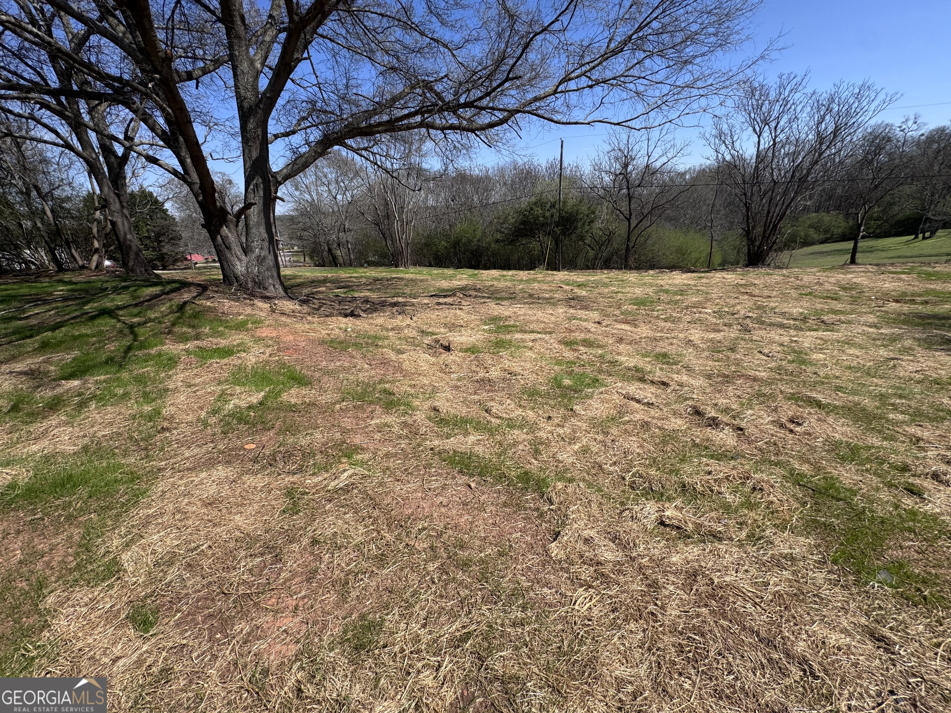 0 River Ridge Drive Carnesville, GA 30521 - Photo 19 of 25