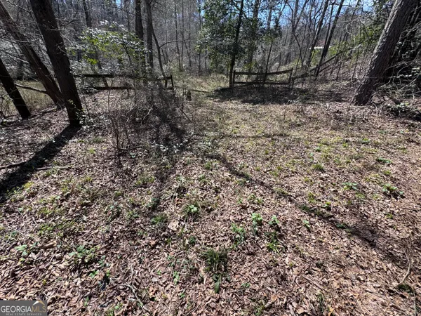 a view of a yard with trees