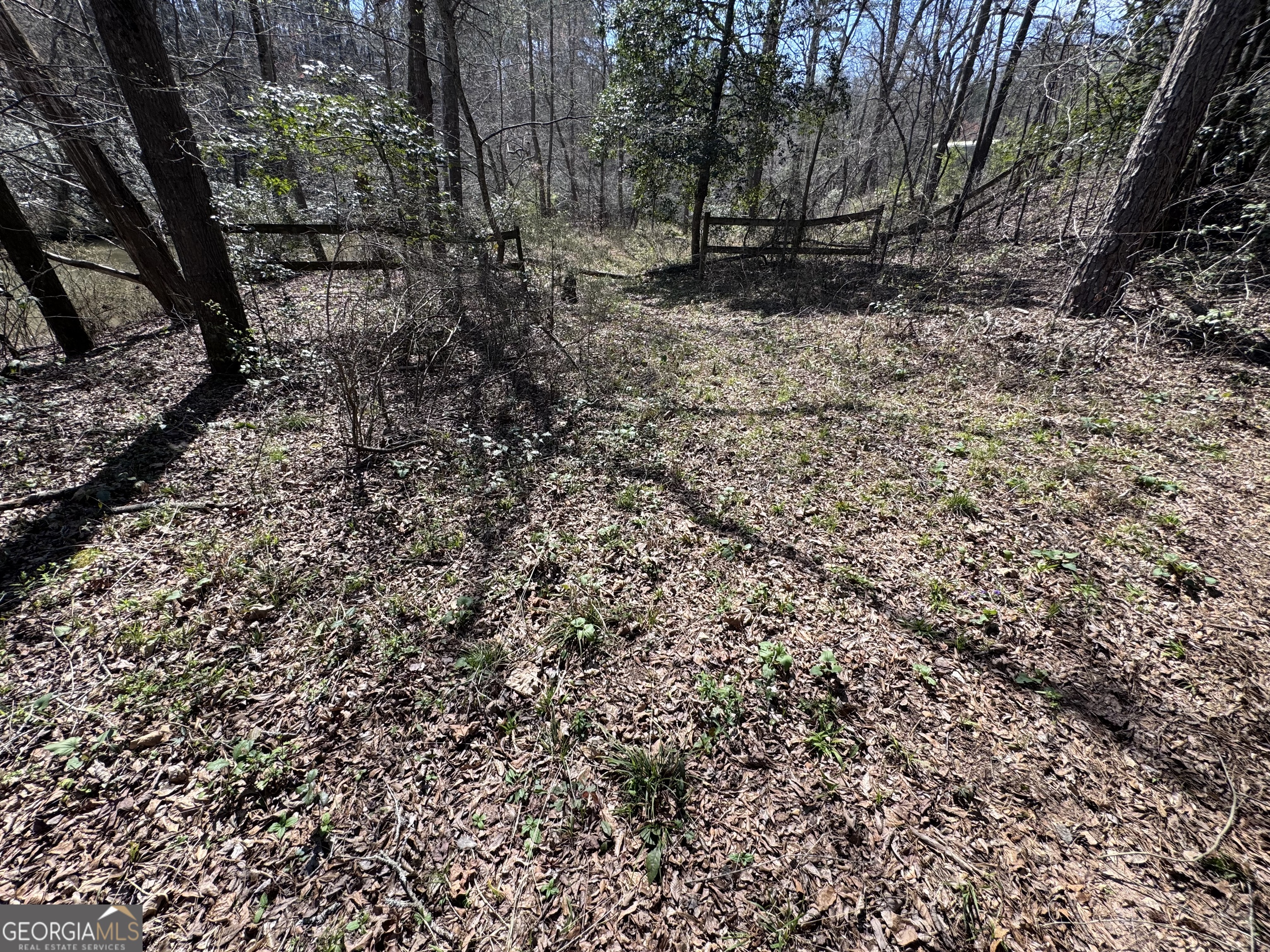 0 River Ridge Drive Carnesville, GA 30521 - Photo 23 of 25