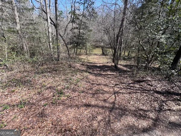 $47,500 | 0 River Ridge Drive, Carnesville, GA 30521