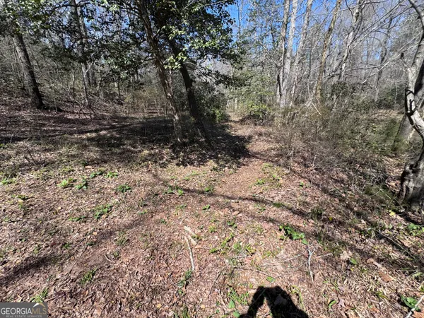 $47,500 | 0 River Ridge Drive, Carnesville, GA 30521