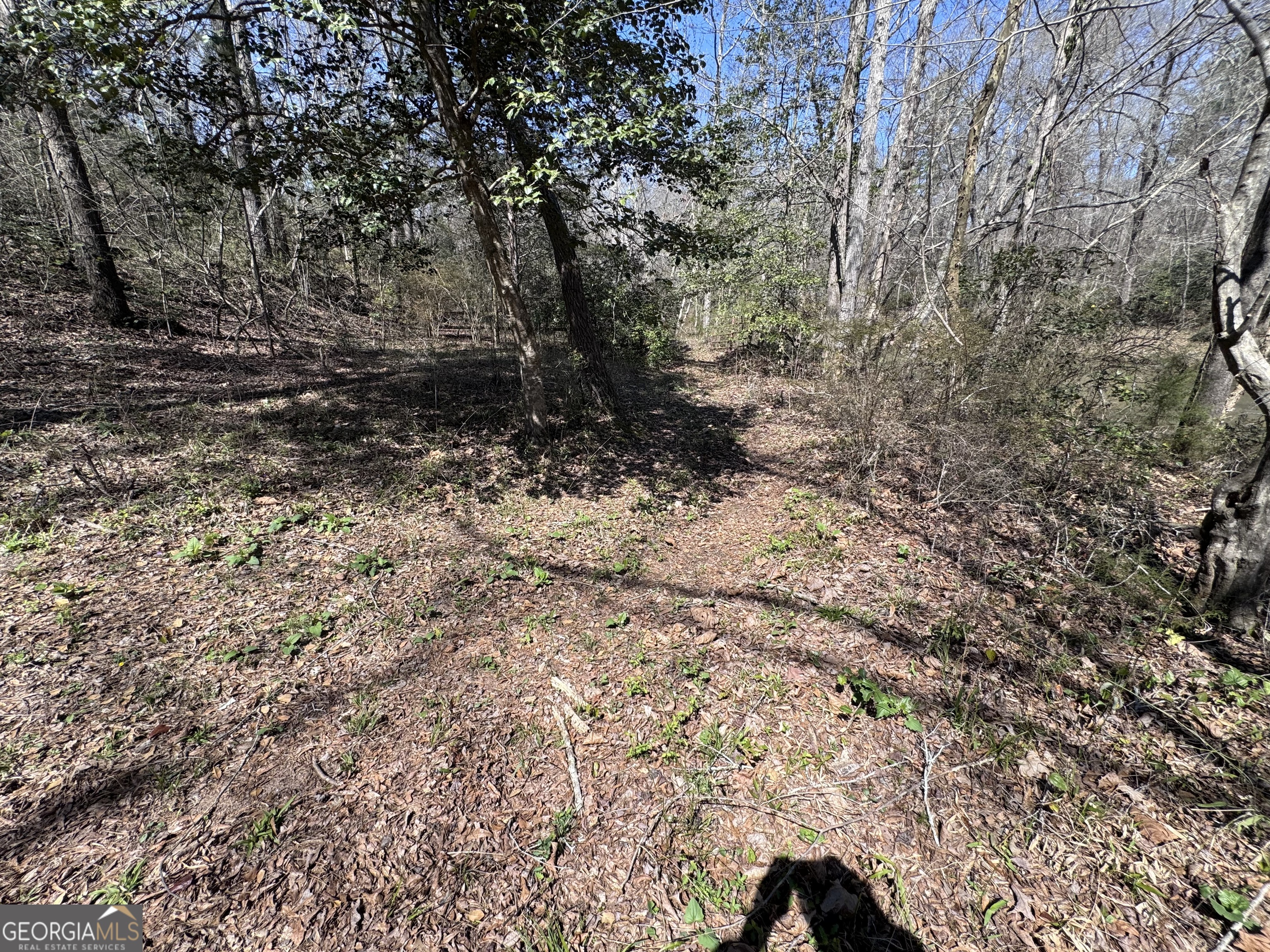 0 River Ridge Drive Carnesville, GA 30521 - Photo 25 of 25