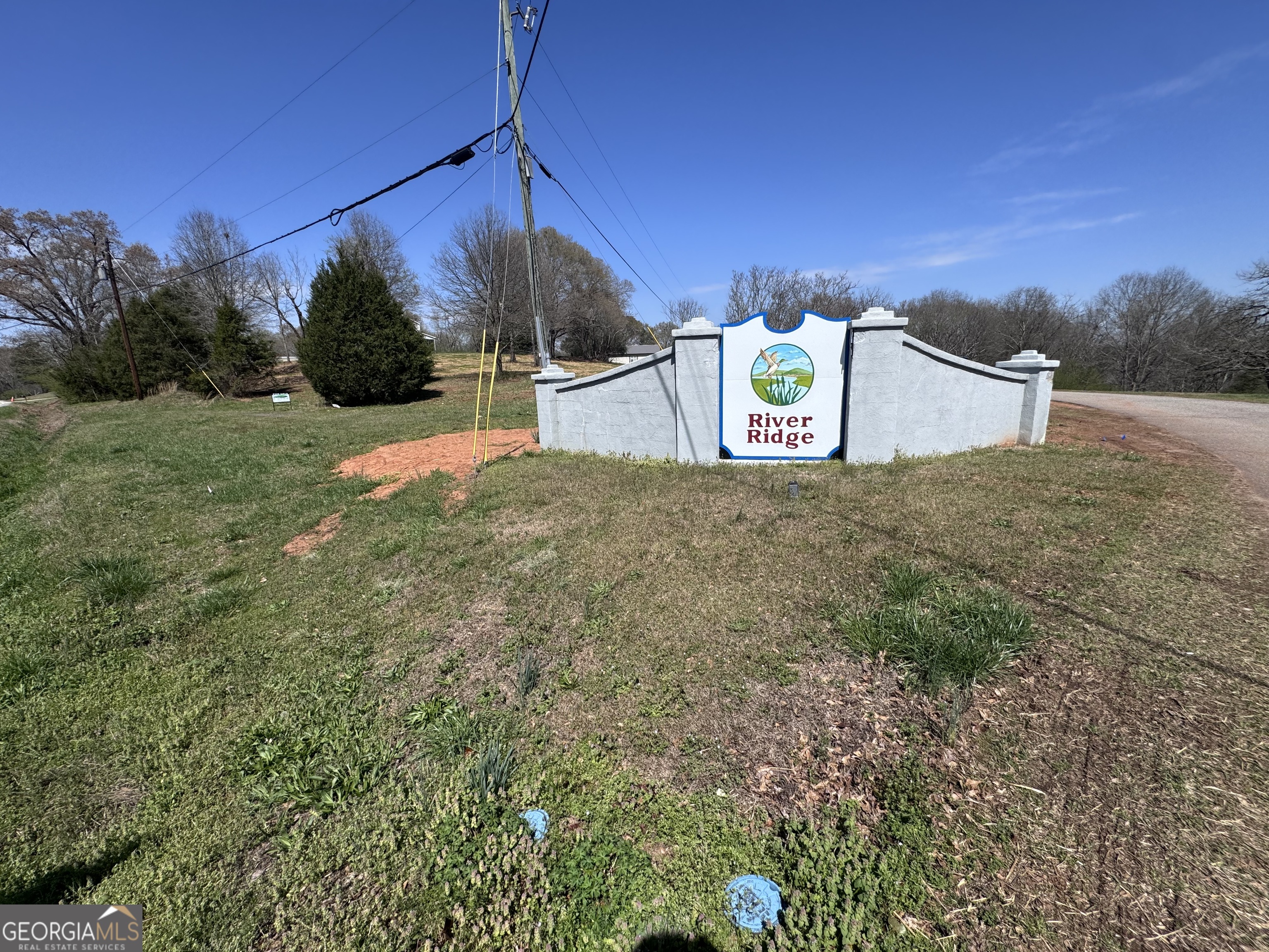 0 River Ridge Drive Carnesville, GA 30521 - Photo 4 of 25