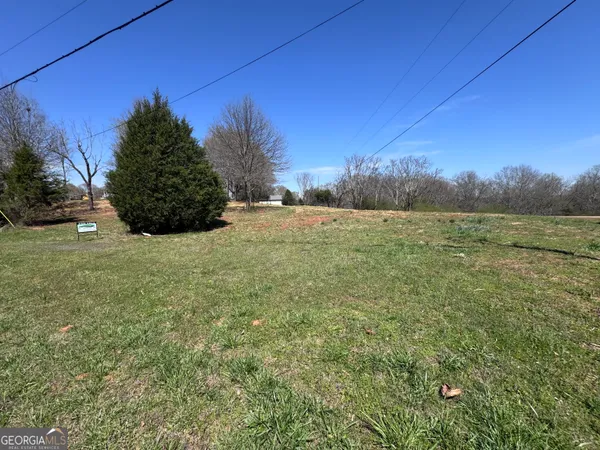 a view of a yard with a large tree