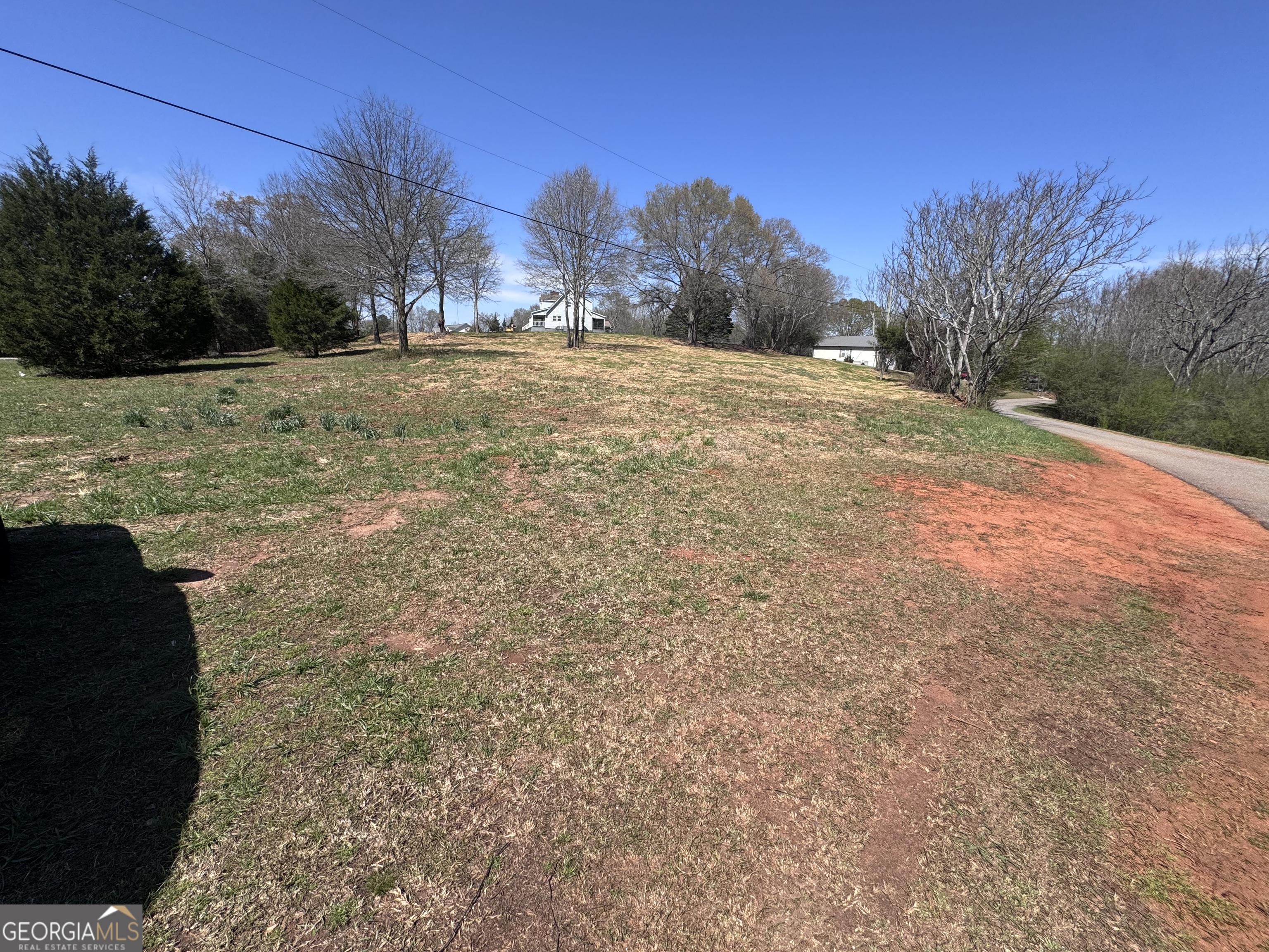 0 River Ridge Drive Carnesville, GA 30521 - Photo 6 of 25