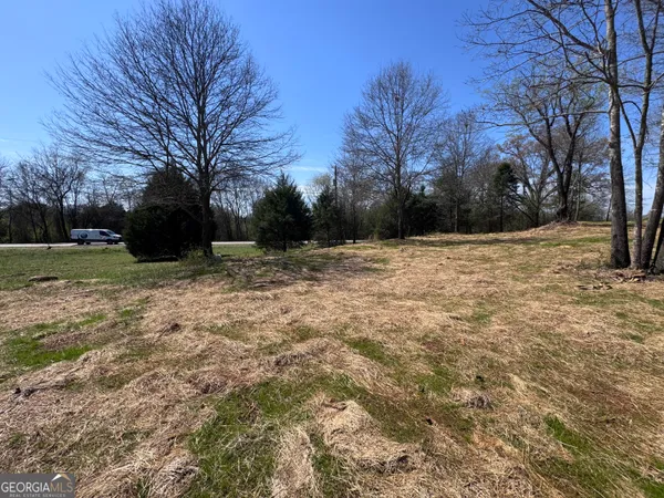 a view of a backyard with large trees