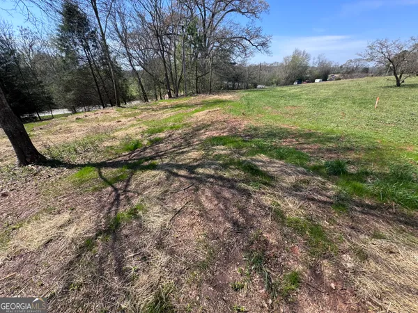 a view of a yard with a tree