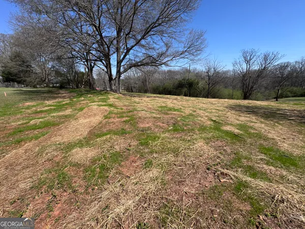 a view of empty yard with trees