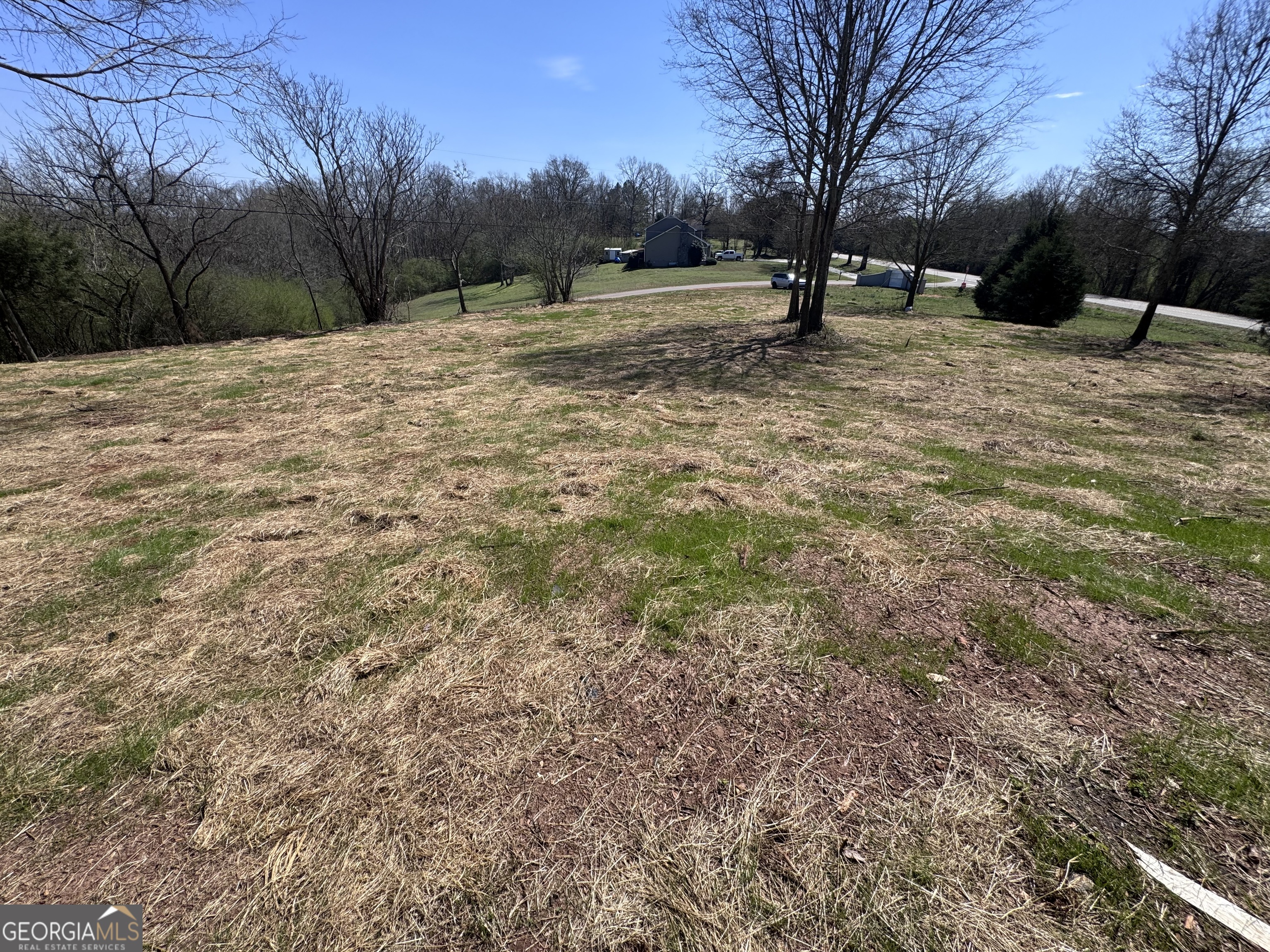 0 River Ridge Drive Carnesville, GA 30521 - Photo 10 of 25