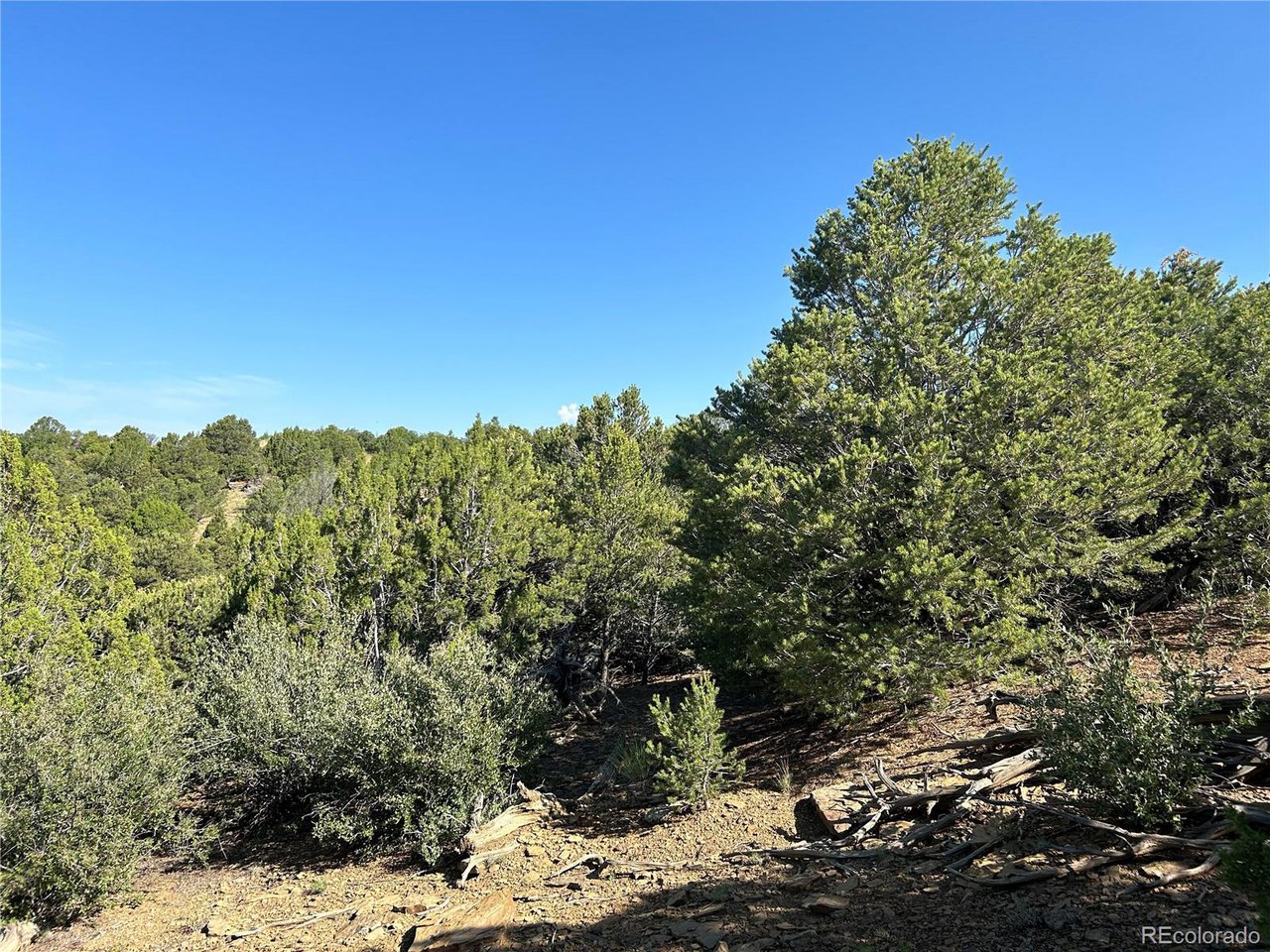 17 Silver Spur Road Walsenburg, CO 81089 - Photo 23 of 28 Gallery Image 23