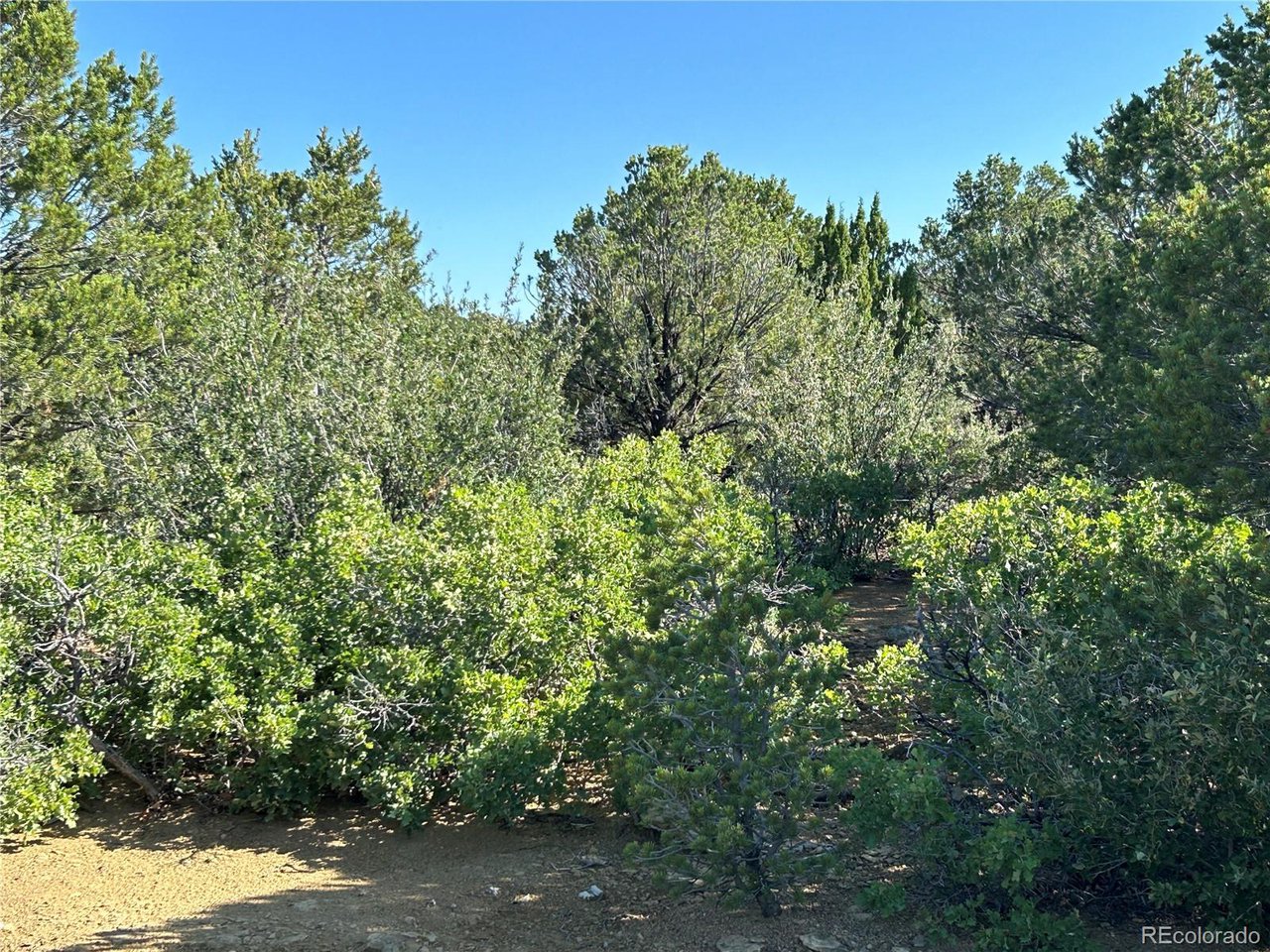17 Silver Spur Road Walsenburg, CO 81089 - Photo 7 of 28 Gallery Image 7