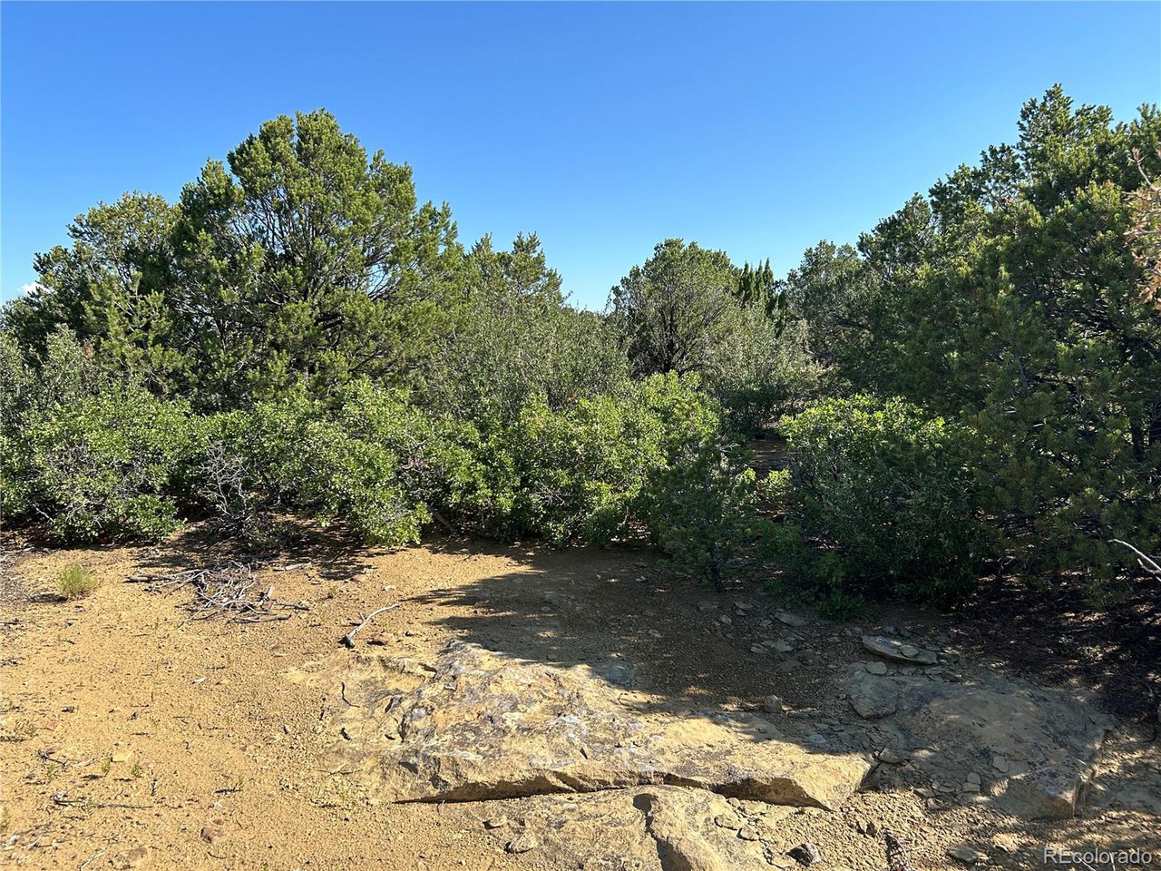 17 Silver Spur Road Walsenburg, CO 81089 - Photo 9 of 28 Gallery Image 9