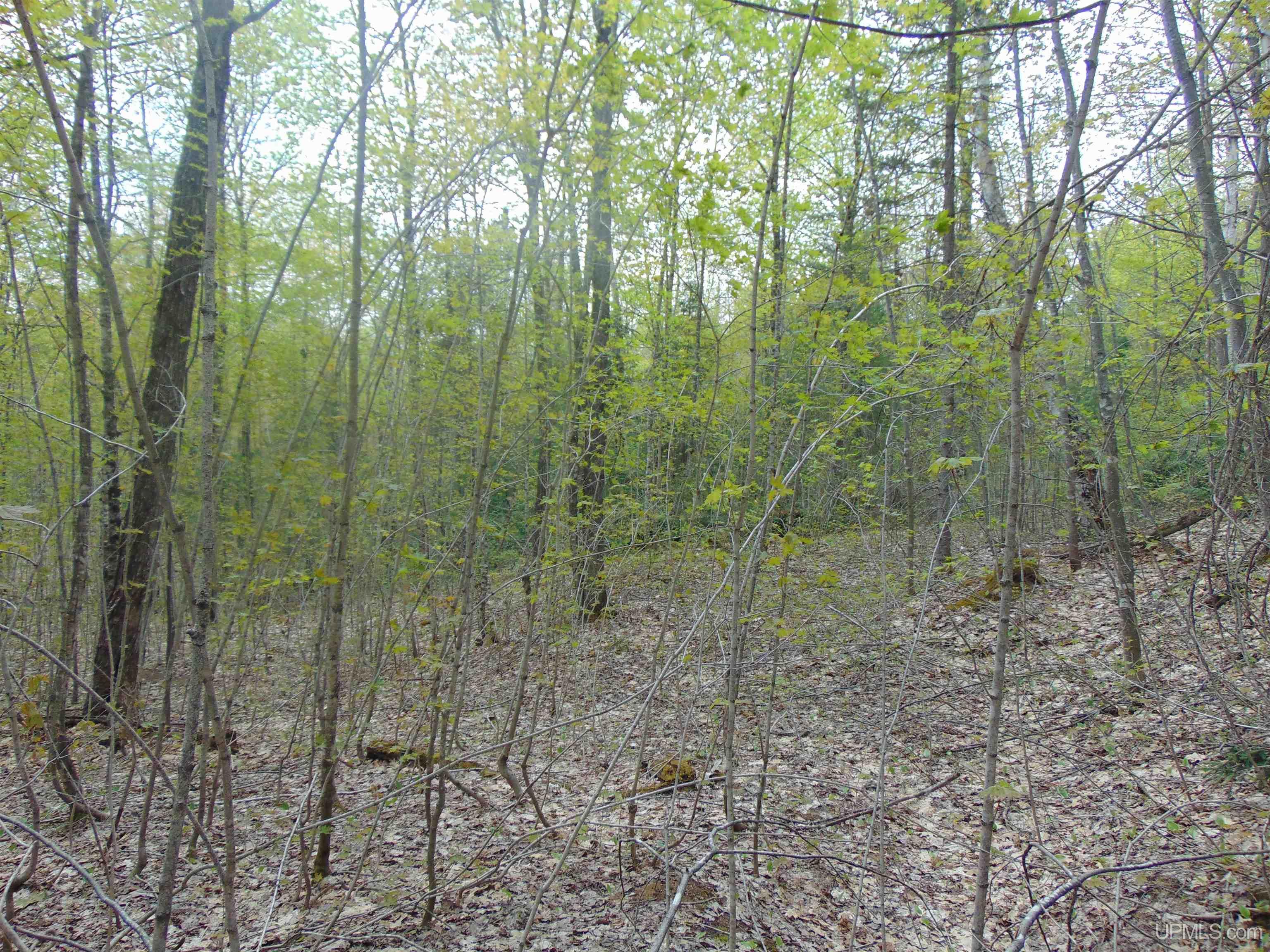 Tbd 100-ac Tbd 100-ac Co Road Ishpeming, MI 49849 - Photo 25 of 28