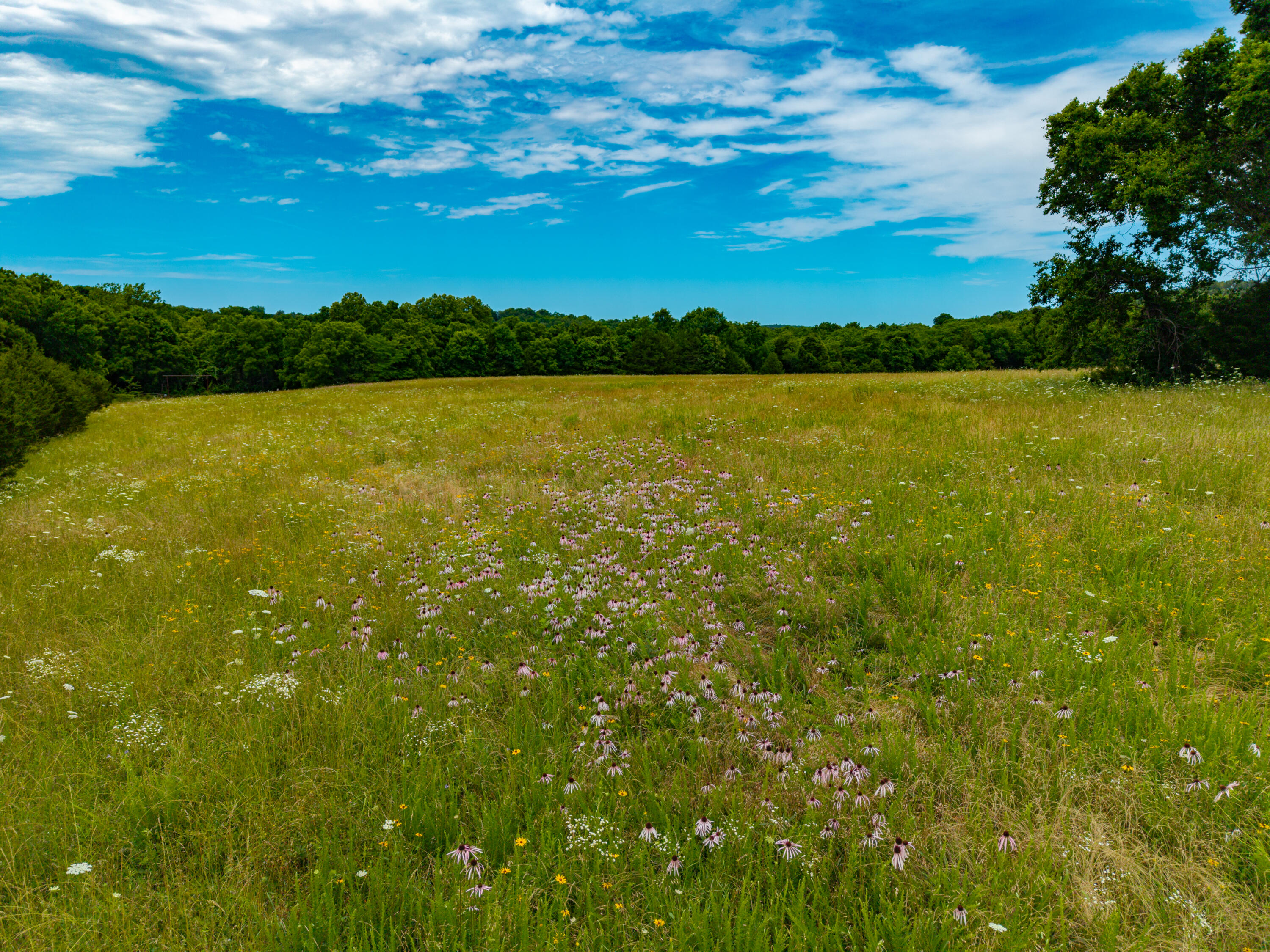 3675 Persimmon Road Grovespring, MO 65662 - Photo 18 of 78 Persimmon Rd-17