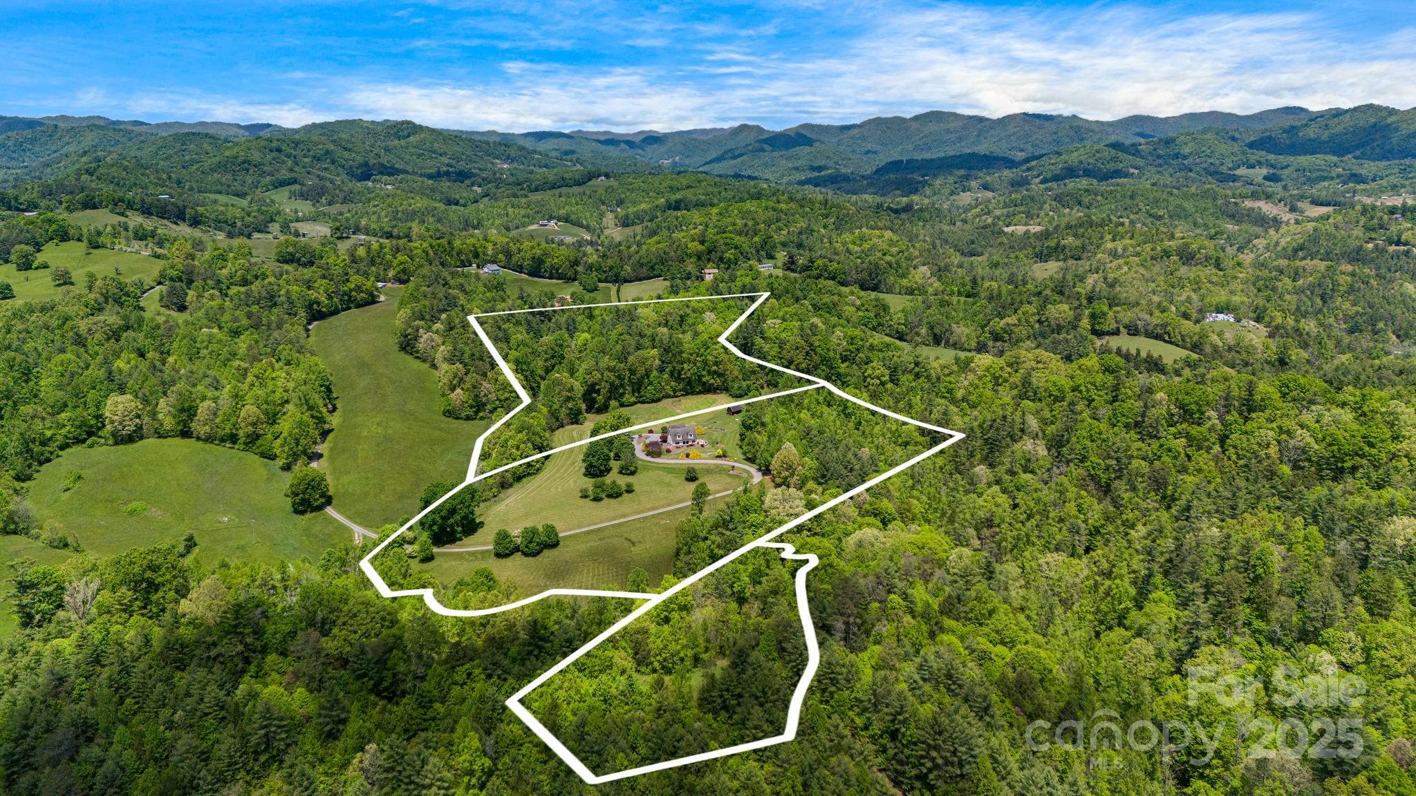 2912 Windswept Ridge Road Marshall, NC 28753 - Photo 3 of 47