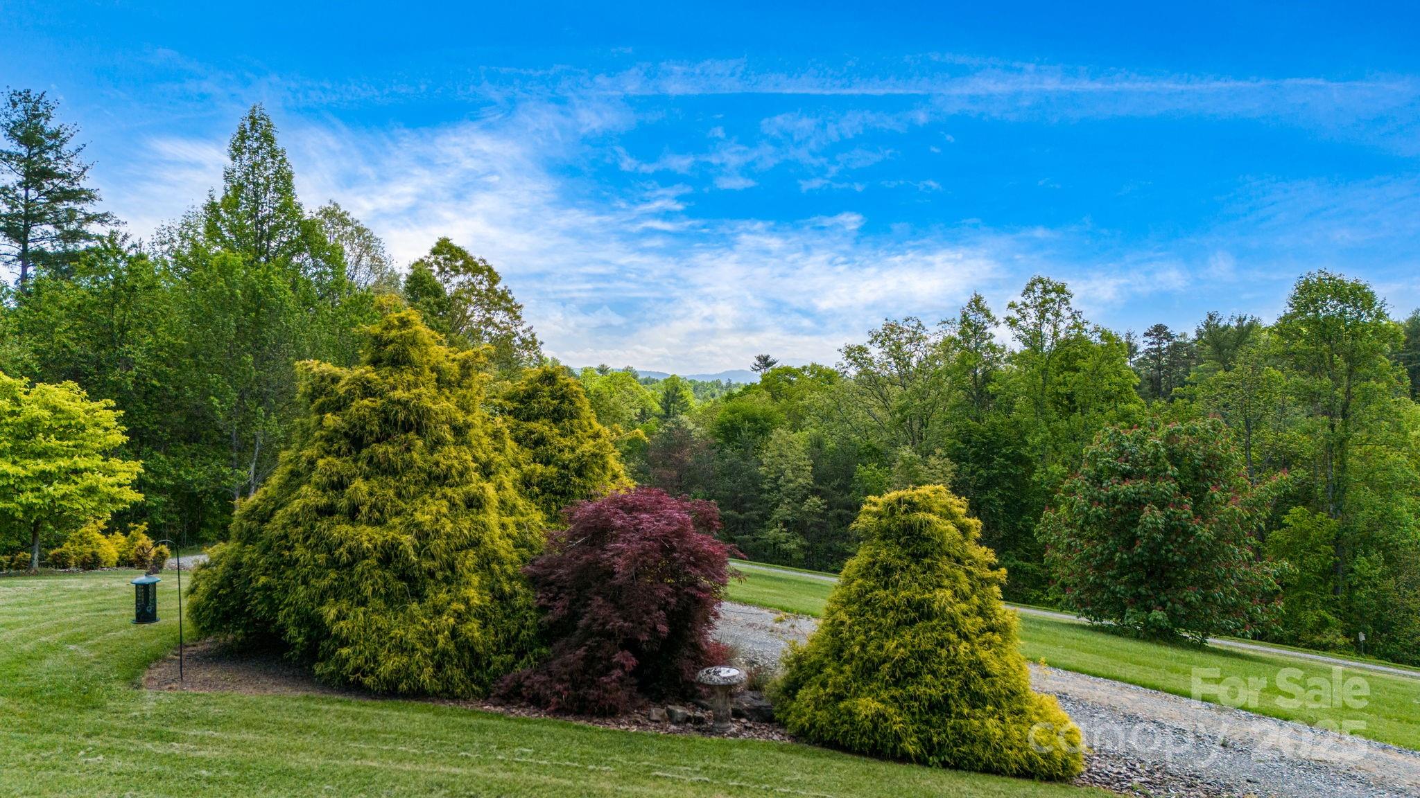 2912 Windswept Ridge Road Marshall, NC 28753 - Photo 37 of 47 a view of a garden