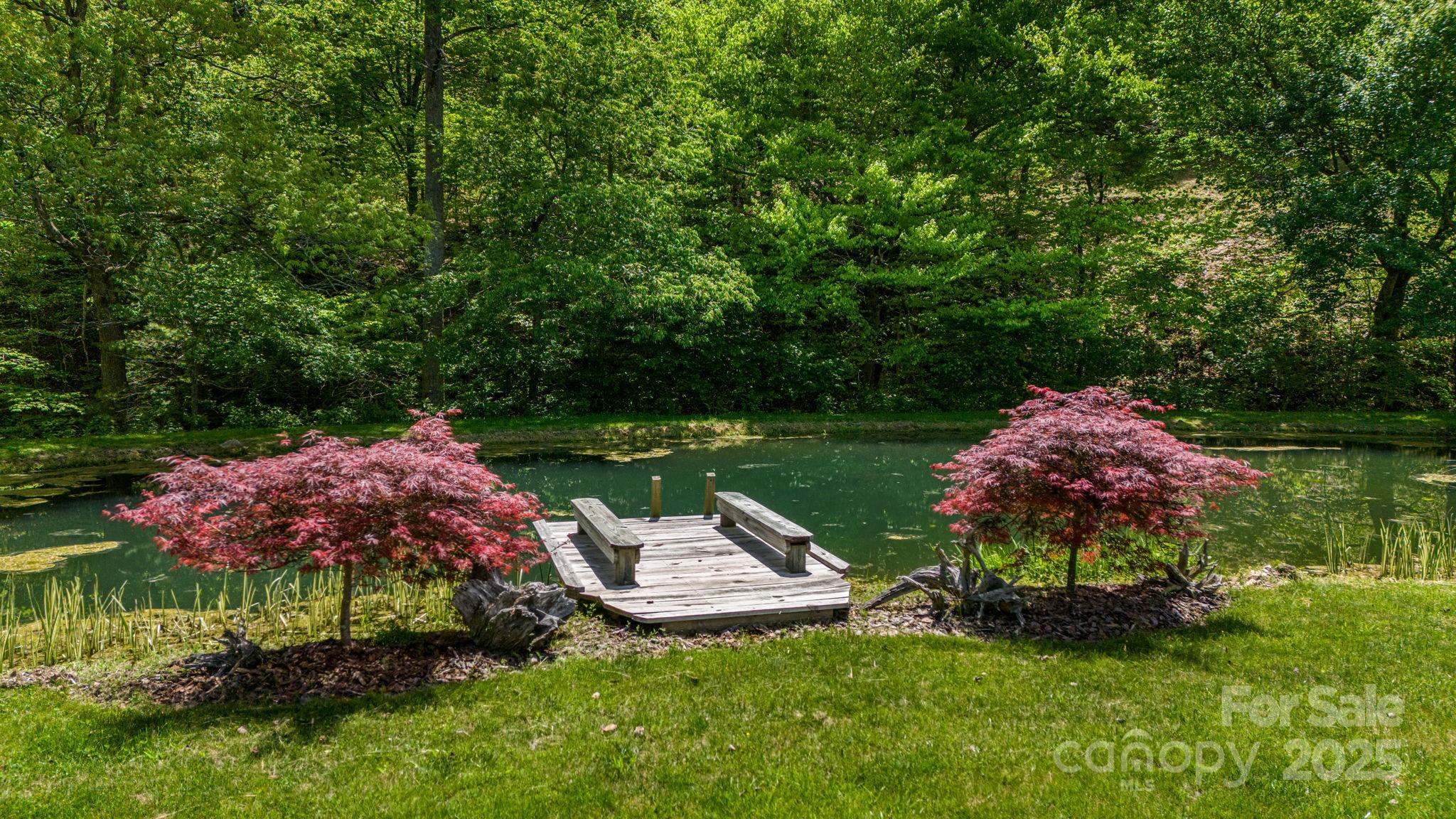 2912 Windswept Ridge Road Marshall, NC 28753 - Photo 43 of 47 a garden view with a garden