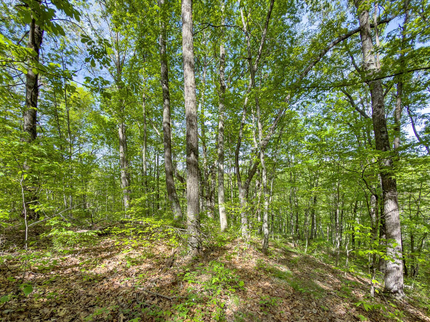 2 Perry Ridge Road Wilkesville, OH 45695 - Photo 18 of 27 Perry Ridge Rd Tract 2-10