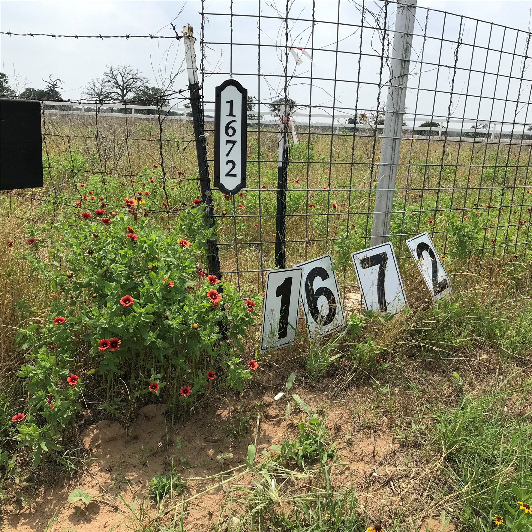 1672 Sayers Tract 4 Road Bastrop, TX 78602 - Photo 11 of 16 a bathroom with a shower
