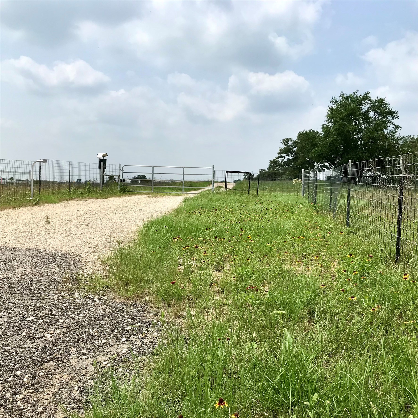 1672 Sayers Tract 4 Road Bastrop, TX 78602 - Photo 13 of 16 a view of a lake view