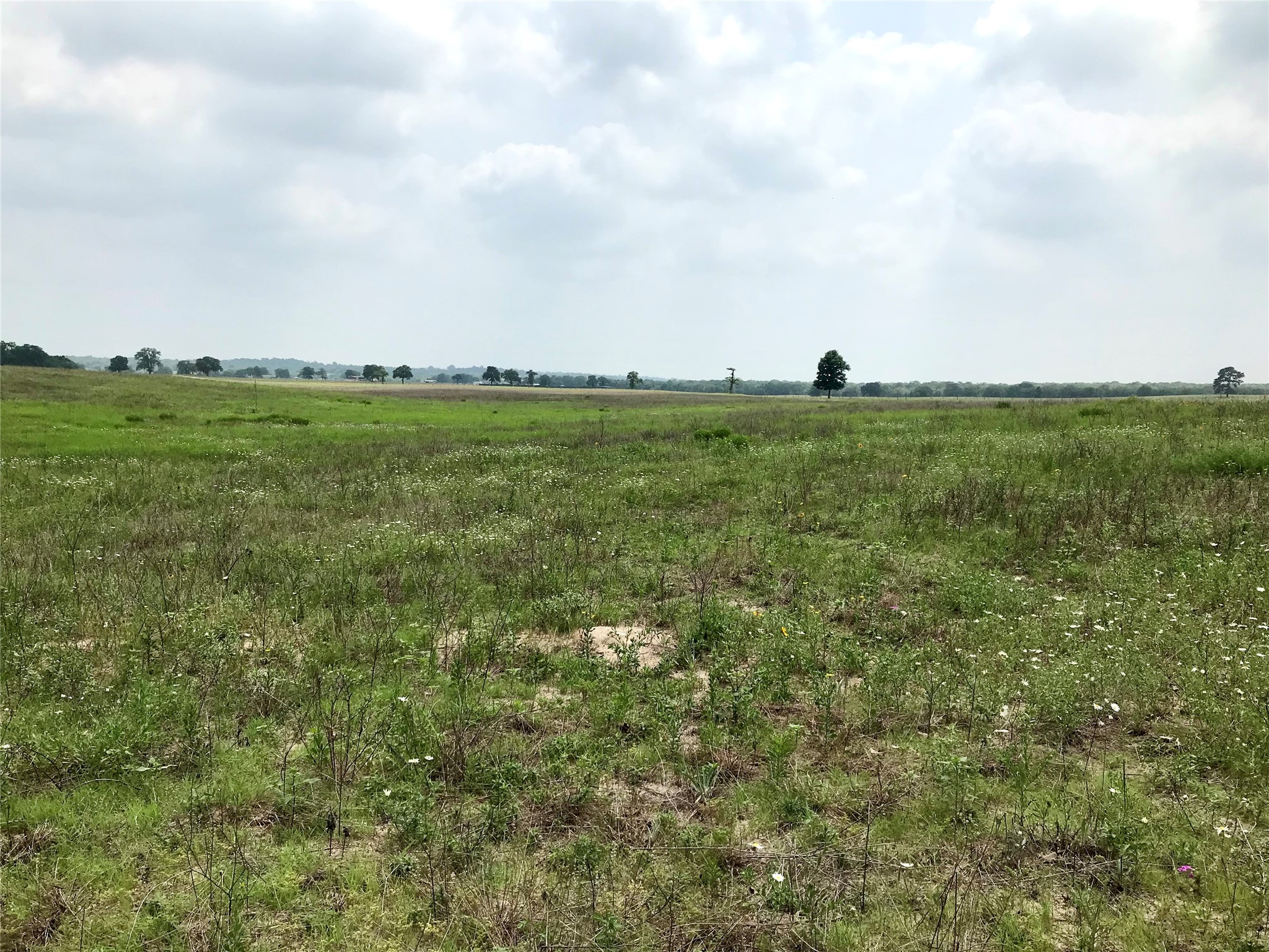 1672 Sayers Tract 4 Road Bastrop, TX 78602 - Photo 14 of 16 a view of a field with clear sky