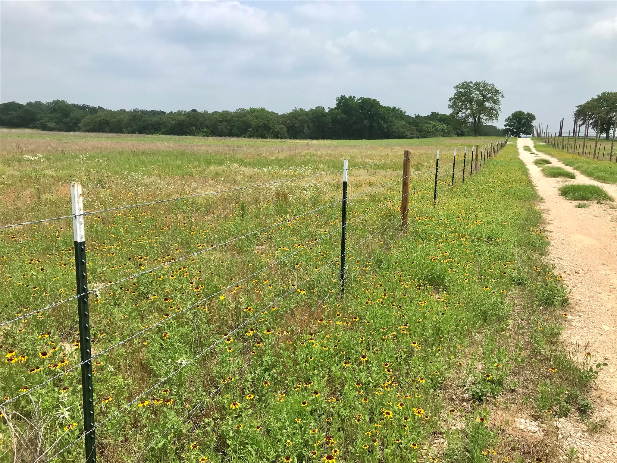 1672 Sayers Tract 4 Road Bastrop, TX 78602 - Photo 15 of 16 a view of lake