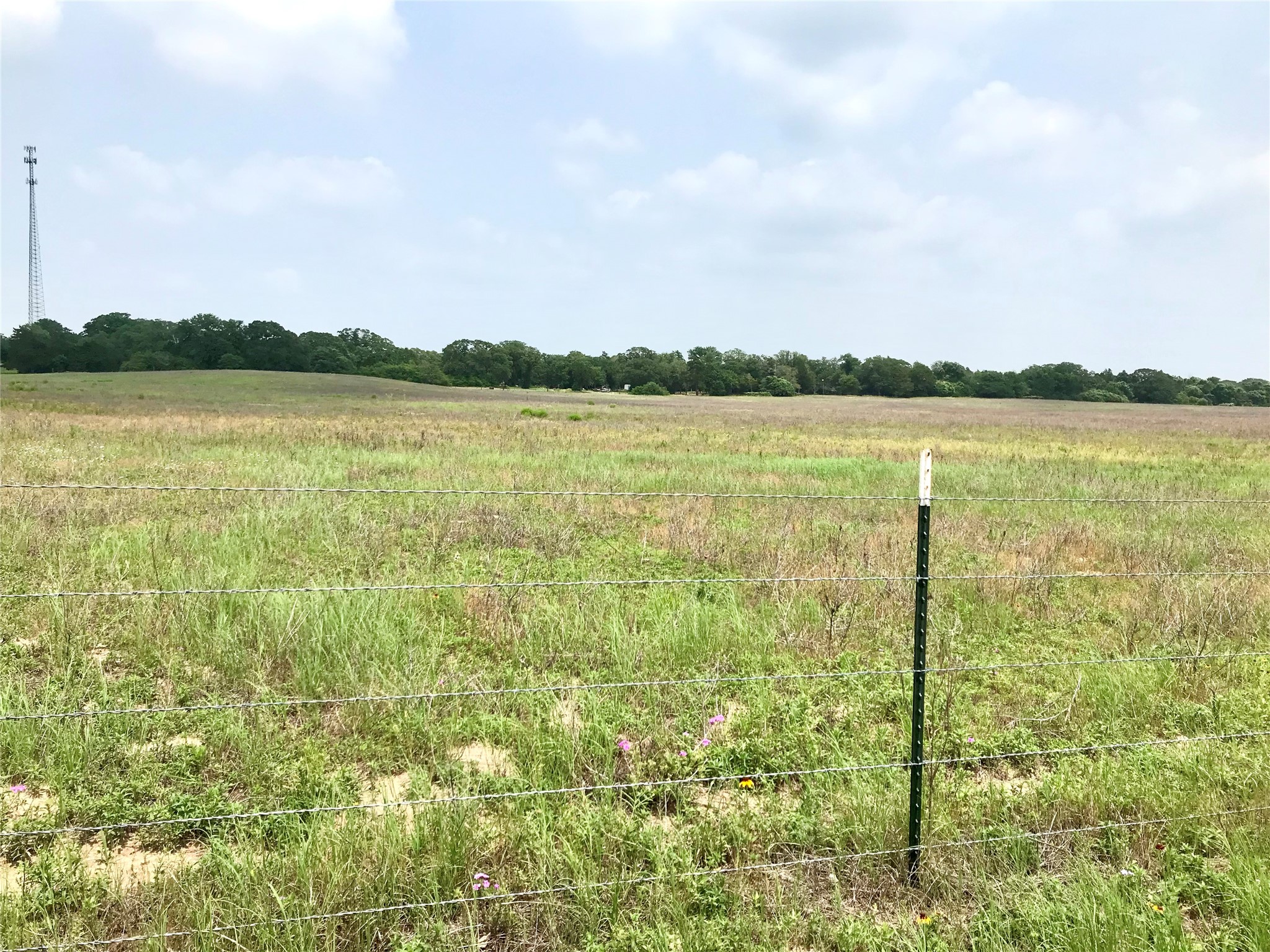 1672 Sayers Tract 4 Road Bastrop, TX 78602 - Photo 3 of 16