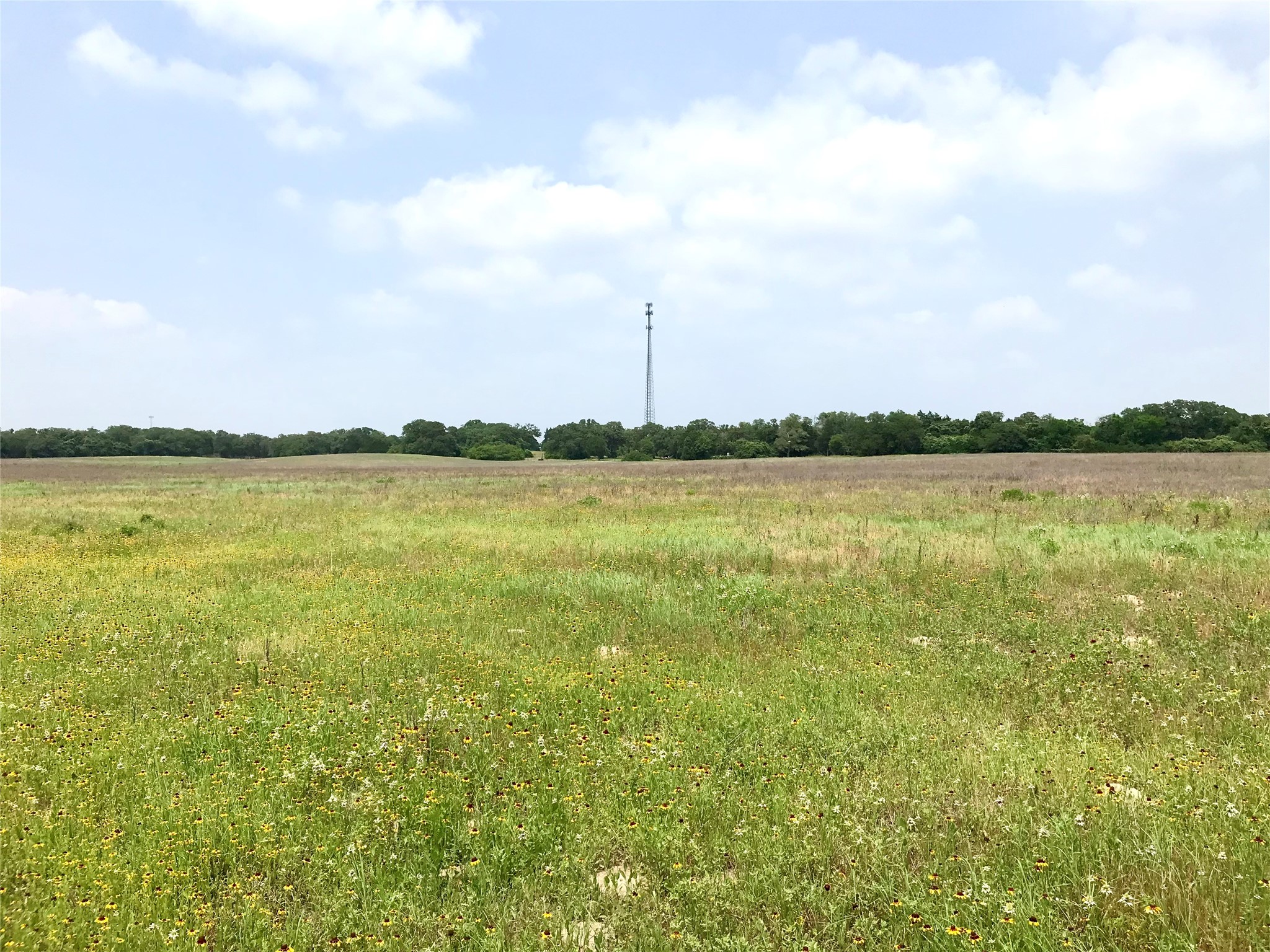 1672 Sayers Tract 4 Road Bastrop, TX 78602 - Photo 6 of 16 a view of an ocean and beach