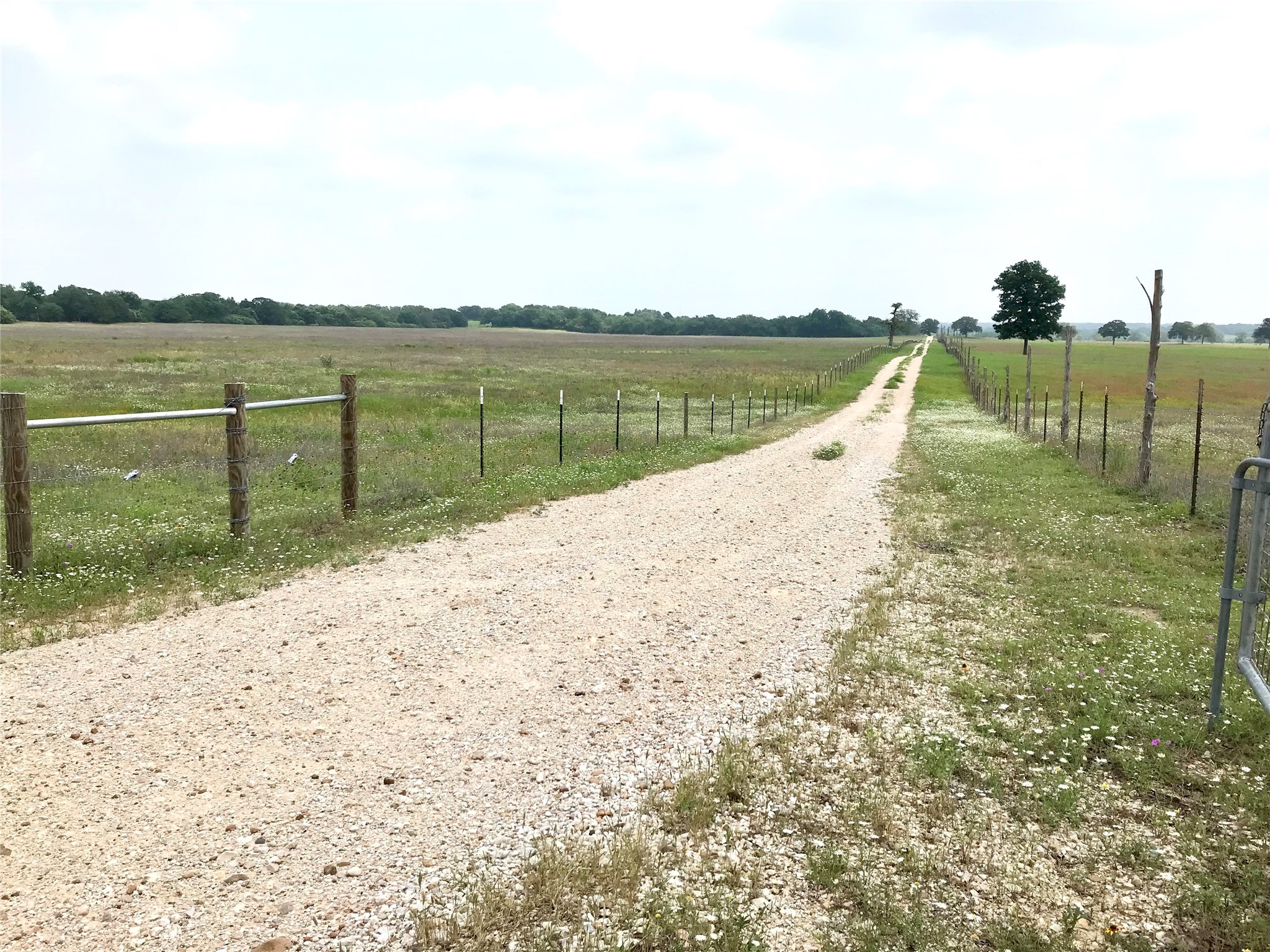 1672 Sayers Tract 4 Road Bastrop, TX 78602 - Photo 7 of 16 a view of a lake with a yard