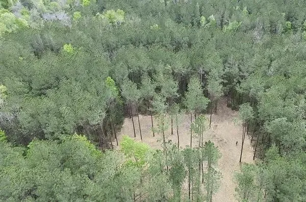 $100,000 | Tbd Hart's Lane, Kentwood, LA 70444