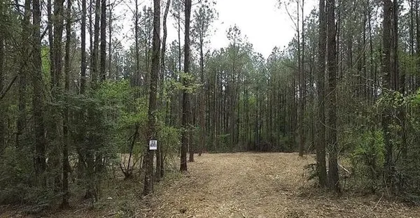 $100,000 | Tbd Hart's Lane, Kentwood, LA 70444