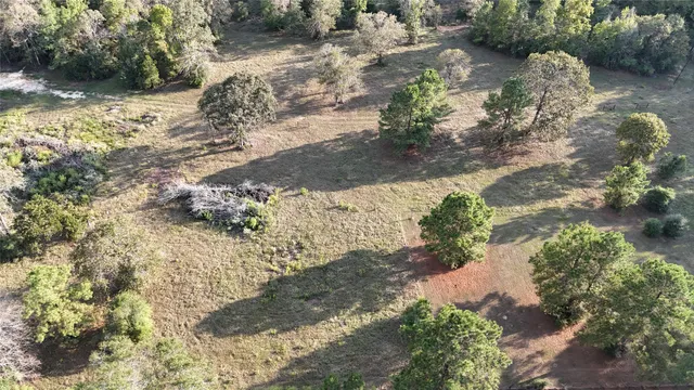 a view of a yard with flowers