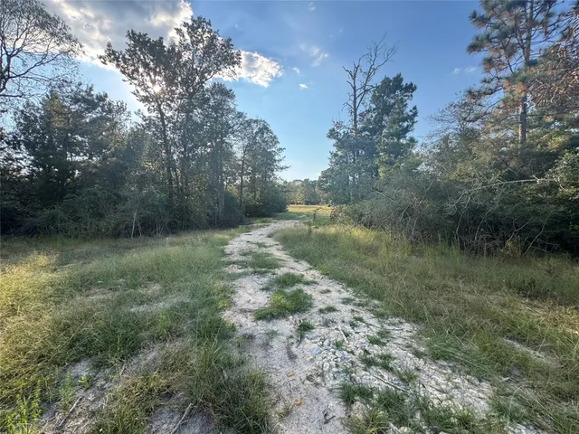 $127,500 | 440 Private Road 8385, Hillister, TX 77624