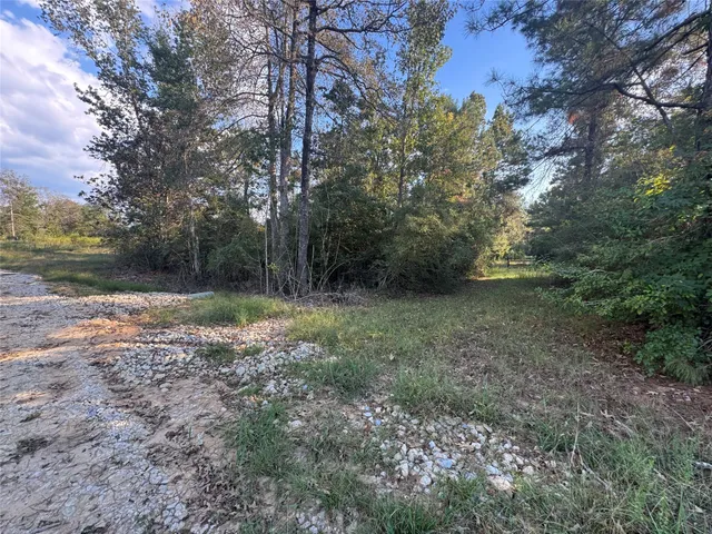 $127,500 | 440 Private Road 8385, Hillister, TX 77624