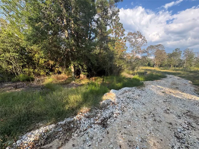 $127,500 | 440 Private Road 8385, Hillister, TX 77624