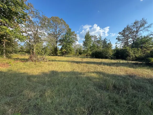 $127,500 | 440 Private Road 8385, Hillister, TX 77624