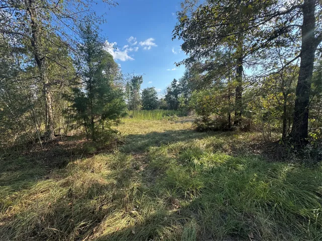 $127,500 | 440 Private Road 8385, Hillister, TX 77624