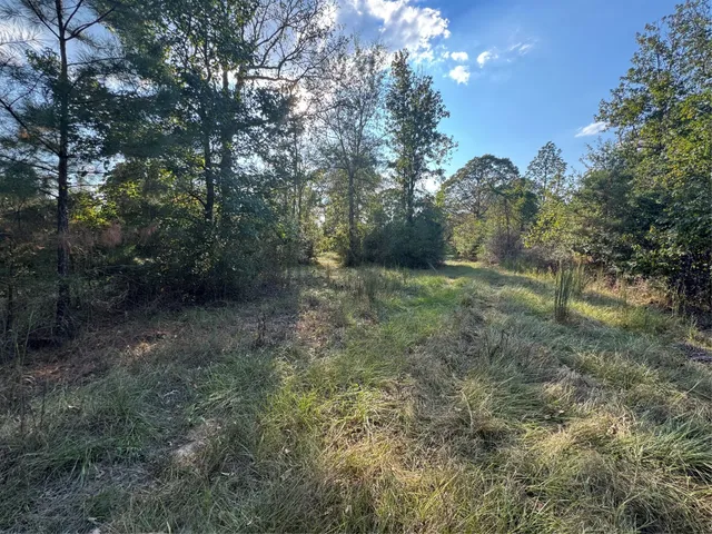 $127,500 | 440 Private Road 8385, Hillister, TX 77624