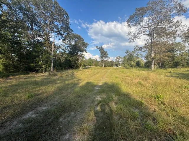 a view of big yard with an trees