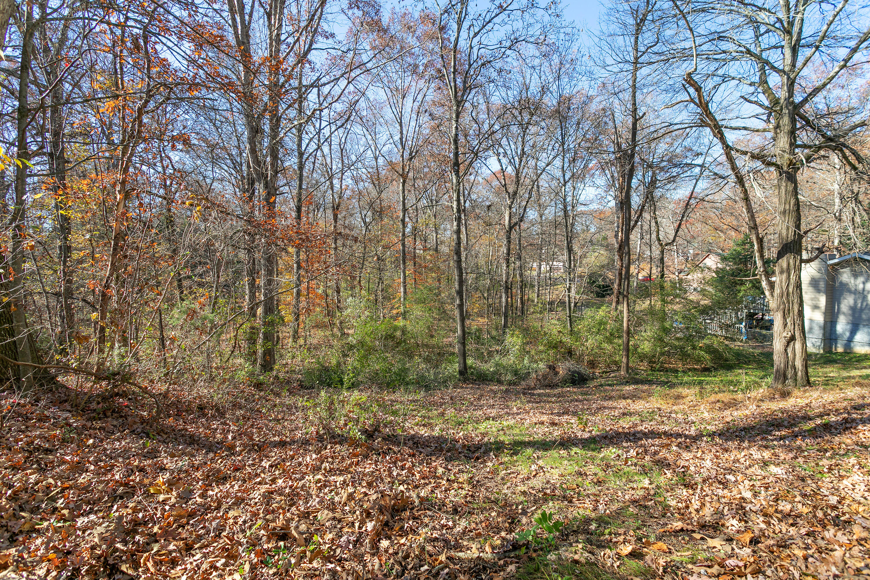 1478 Bowman Road Hixson, TN 37343 - Photo 14 of 14 1478 Bowman Rd_Backyard