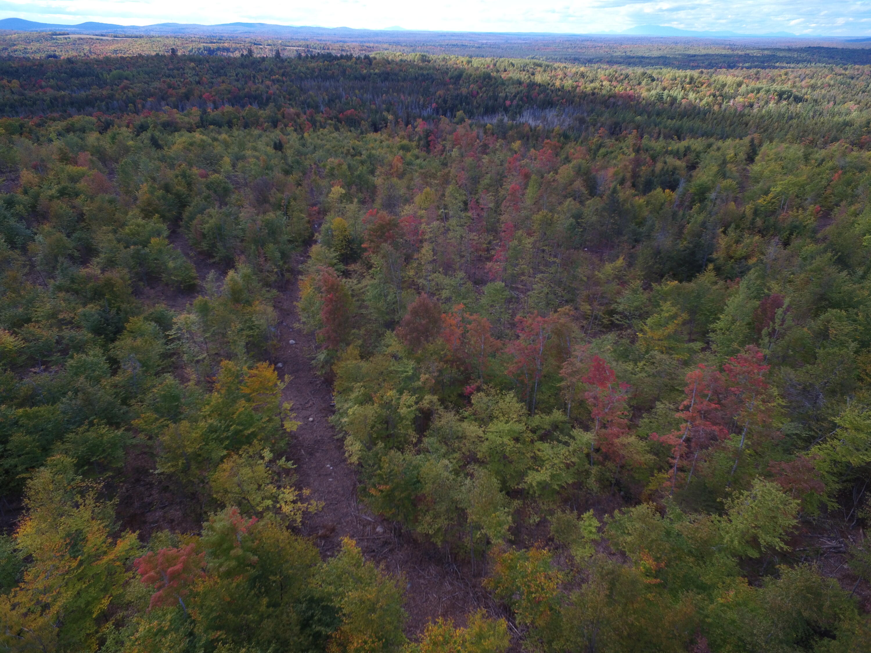 Off Off Clear Cut Lodge Road Springfield, ME 04487 - Photo 7 of 16 DJI_0025
