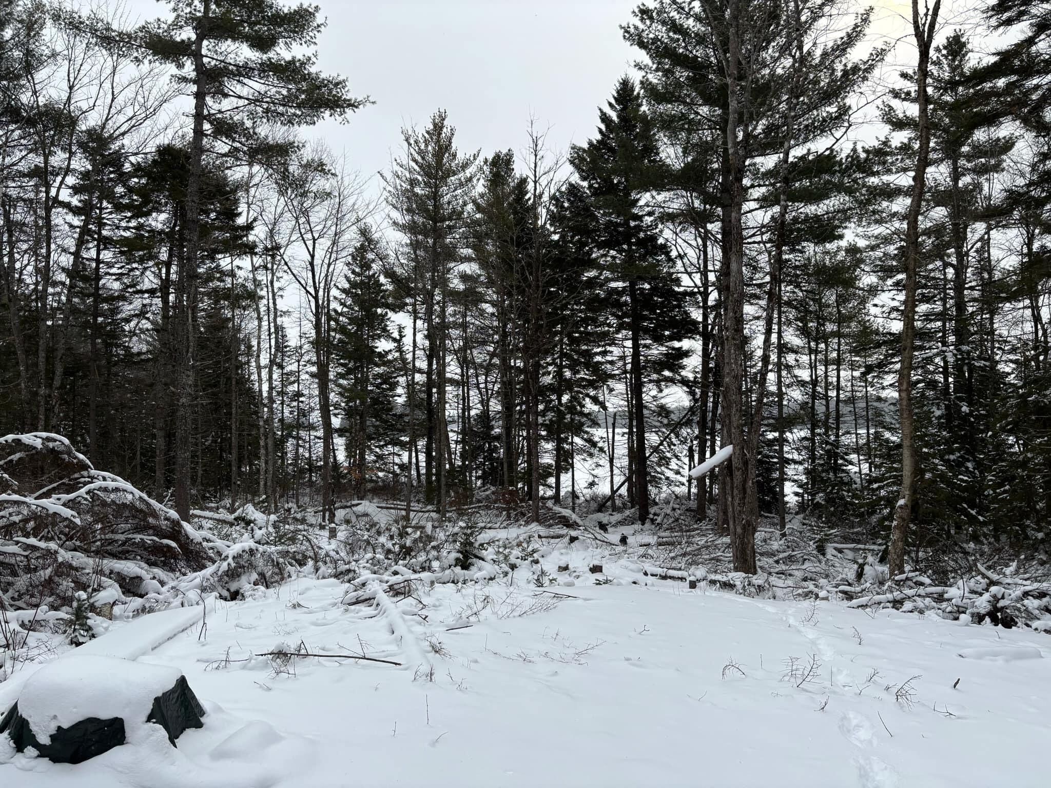 187 Birch Pt Road Cooper, ME 04657 - Photo 11 of 14 Messenger_creation_444CFFD7-AD3F-4775-A3