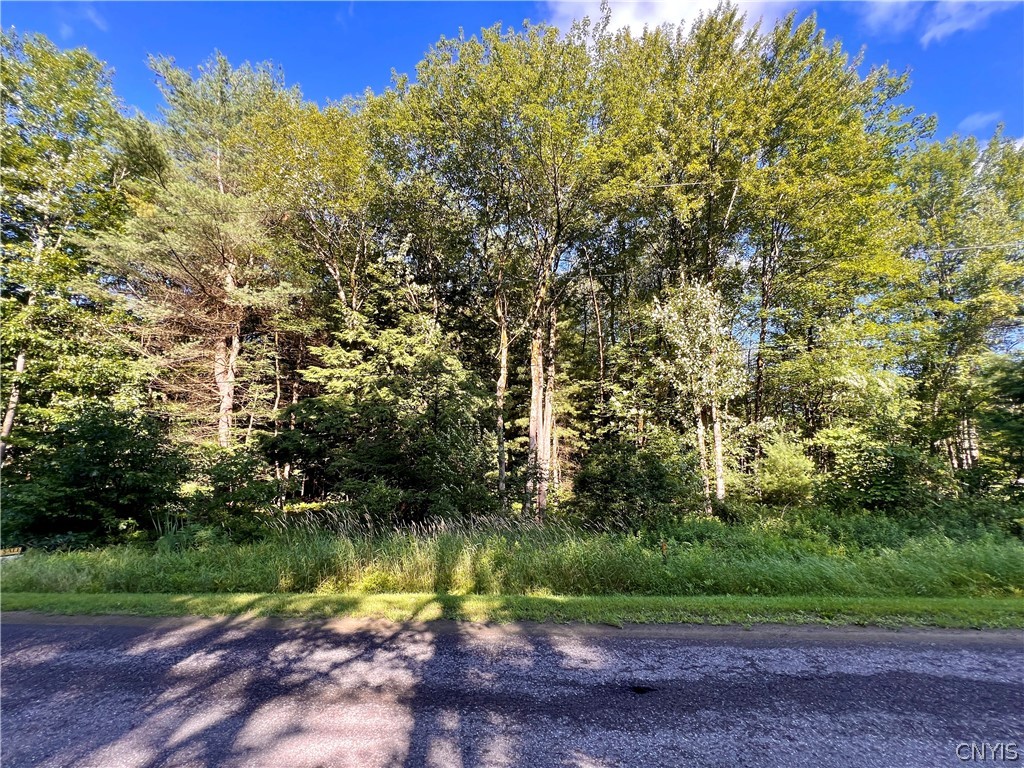 0 Burton Road Camden, NY 13316 - Photo 2 of 3