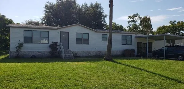 a view of a backyard with plants and large tree