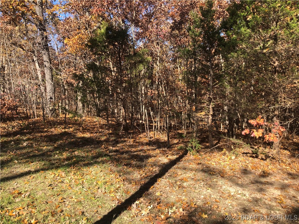 Hill Road Versailles, MO 65084 - Photo 2 of 5