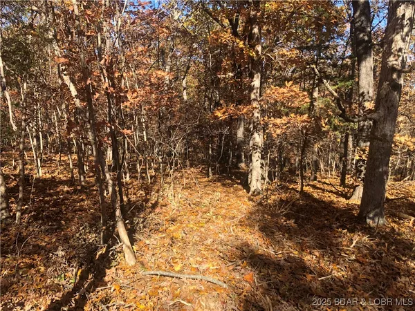 $25,000 | Hill Road, Versailles, MO 65084