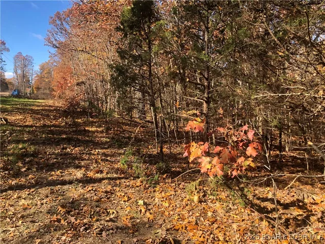 $25,000 | Hill Road, Versailles, MO 65084